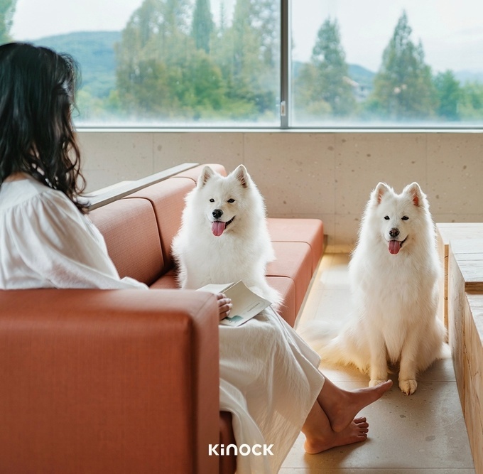“벌써 1년”… 펫프렌들리 호텔 키녹, 한정판 패키지 출시