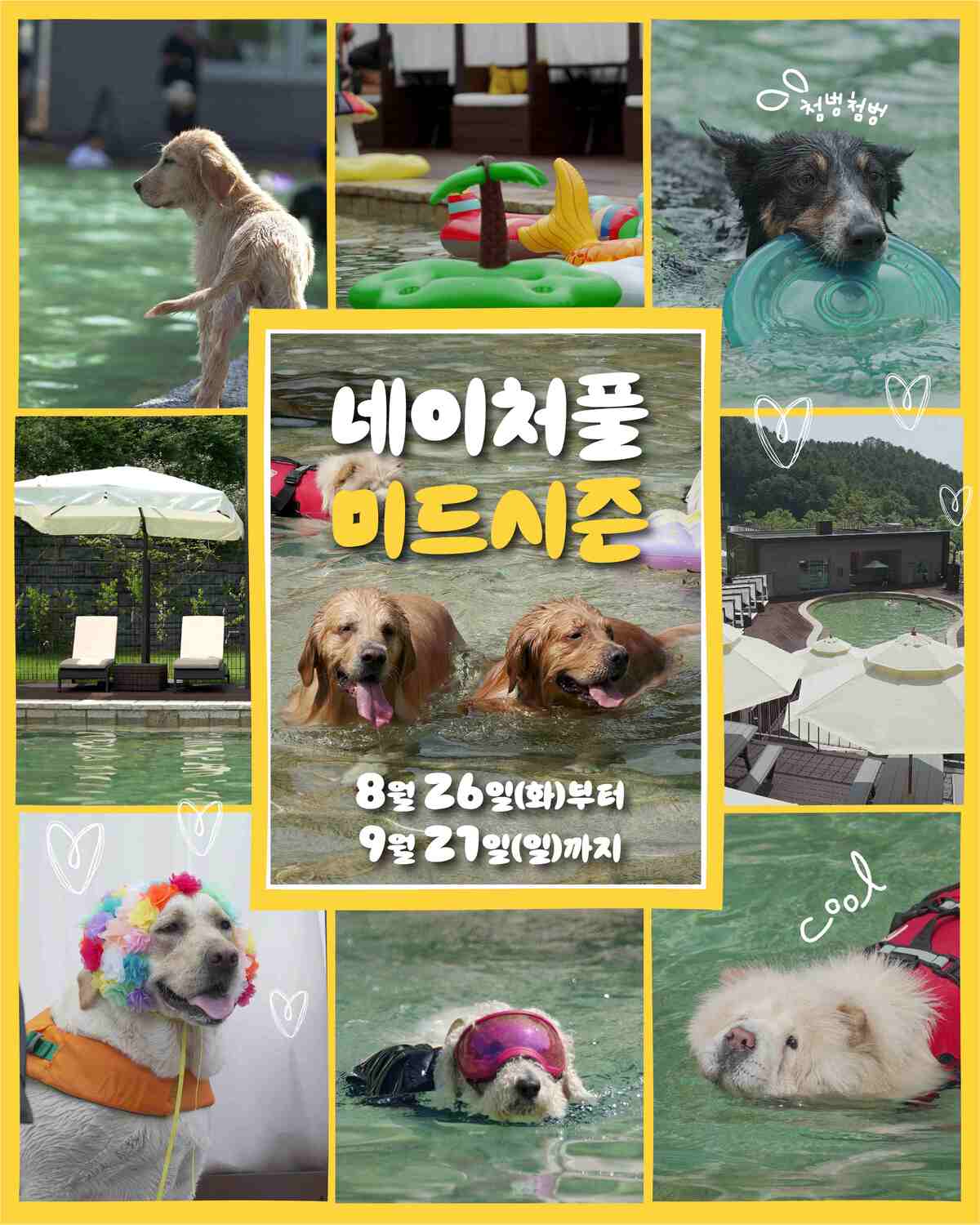 올여름 마지막 ‘숲속 댕댕이 수영장’… 강아지숲 ‘네이처풀’ 15일 예매